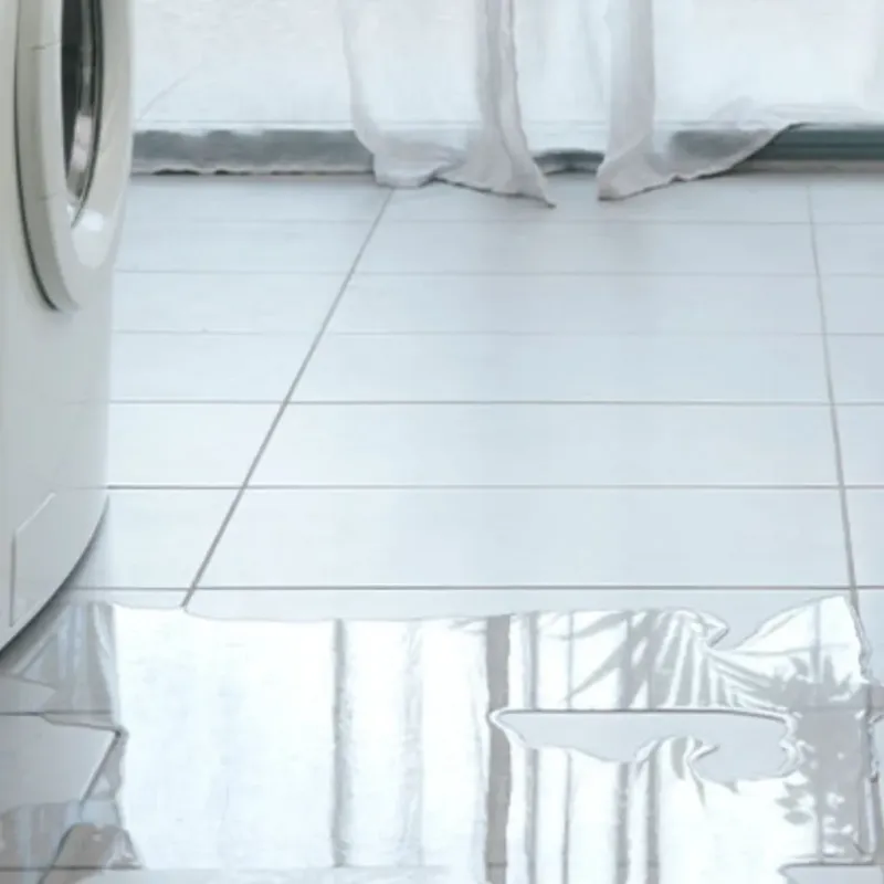 Appliance Leak Cleanup in Prairie View, TX