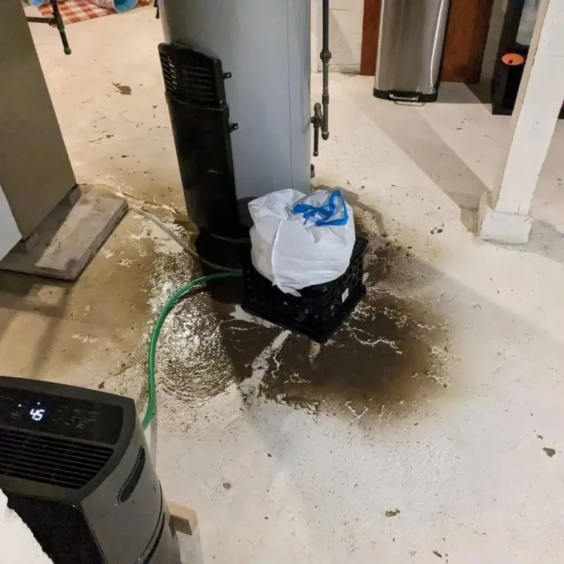Sewage Backup Cleanup Service in Prairie View, TX